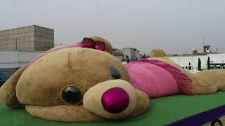 Giant teddy bear breaks Guinness World Records in Mexico