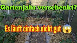 Verschenktes Gartenjahr? Es läuft einfach nicht im Garten