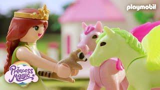 Princess Magic: Zagubiony mały szop pracz | PLAYMOBIL Film