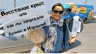 Восстание крыс или как мы запускали бизнес в Израиле!