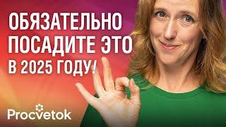 ТОП-10 овощей, ОБЯЗАТЕЛЬНЫХ к посадке в 2025 году!