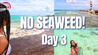 CANCUN: Day 3 Vlog • Seaweed & Lighthouse