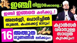 ഇഞ്ചിയുടെ 16 അത്ഭുത ഗുണങ്ങള്‍ കേട്ടുനോക്കൂ..! ഇങ്ങനെ കഴിച്ചാല്‍ അലര്‍ജി, ചൊറിച്ചില്‍, തുമ്മല്‍മാറും!