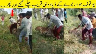 Animals Close Encounter With Humans یہ لوگ بھول گئے کہ درندہ تو پھر درندہ ہے