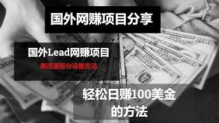 2021网赚，国外网上赚钱项目分享，国外Lead赚钱项目讲解：刷流量平台设置讲解