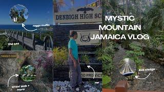 MYSTIC MOUNTAIN JAMAICA VLOG  #mysticmountain