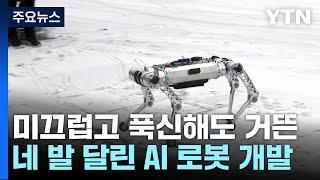 모래사장도, 푹신한 땅도 내달린다!...네 발 달린 AI로봇 / YTN