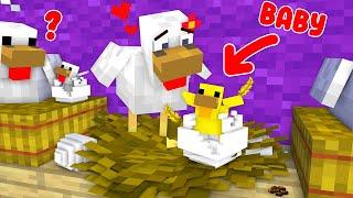 Monster School : Gold Chicken - Sad Story - Minecraft Animation