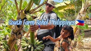 Namasyal kami sa South Farm Bohol Philippines |McPherson Family