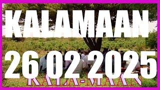 KALAMAAN 26 FEBRUARY 2025