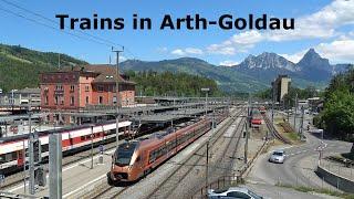 Trains in Arth-Goldau, Switzerland