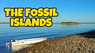 Exploring TINY Florida Islands for Fossils | Fossil Hunting in the Gulf of Mexico