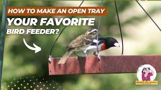 Make Your Open Tray Bird Feeder a REAL Success Story!