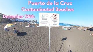 Tenerife - Contaminated Beaches, But Everyone Takes a Dip: Puerto de la Cruz - December 28th