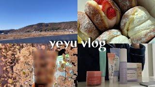 VLOG #1 | 세상에서 제일 가는 귀차니즘 잇프피가 새해 맞이하는 법 | 덕질, 요리, 화장품 소개 다 하는 혼종 브이로그 | 더마토리