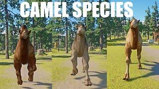 Camel Species Races in Planet Zoo in 4K UHD included Camelops, Dromedary Camel and Bactrian camel