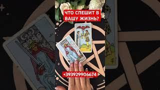 ЧТО СПЕШИТ В ВАШУ ЖИЗНЬ? #таро #перемены #судьба #таромания#тарорасклад #будет #