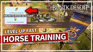 Level Up Horse Training Fast & Make Billions of Silver An Hour in Black Desert