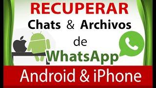 Cómo RECUPERAR conversaciones y archivos de WhatsApp