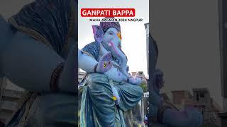 Nagpur ganpti Bappa aagman 2024 #nagpur #ganpatibappa #shorts #trending #ganeshchaturthi #viral