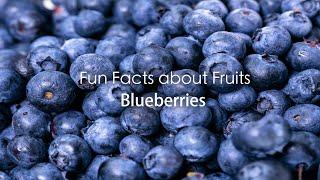 Top 10 Healthiest Fruits | Blueberries Fun Facts | Blueberry a Super Food | Smart & Healthy Eating