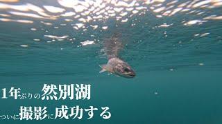 1年ぶりの然別湖で去年のリベンジを果たす！#釣り #fishing #ニジマス