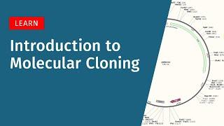 Introduction to Molecular Cloning