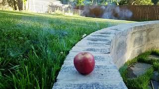 Apple Explosion In Slow Motion Is Super Satisfying
