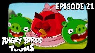 Angry Birds Toons | Hypno Pigs - S1 Ep21