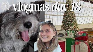 VLOGMAS DAY 18: more christmas shopping, falling behind on vlogmas & more