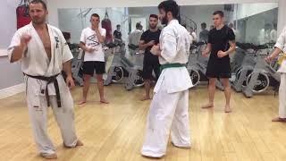 How to throw a powerful low kick like a professional Kyokushin Fighter!