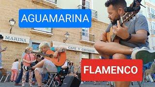 Flamenco!! Maestros de la Guitarra en La Calle