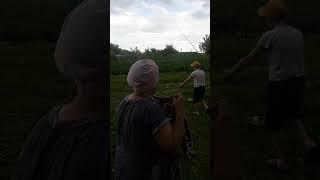на ваське наловили карасей с племяшками