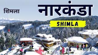 Shimla Narkanda Trip 2024 | Narkanda Tourist Places | Narkanda Snowfall Latest Video | Shimla Tour