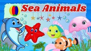 Sea Animals names| Acquatic habitats| Sea animals vocabulary| kids vocabulary #seaanimals