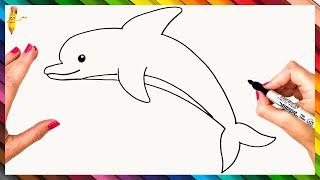 How To Draw A Dolphin Step By Step  Dolphin Drawing Easy