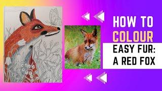 HOW TO COLOUR FUR EASILY: A RED FOX - Maria Trolle´s Stjärnfall | ADULT COLORING #tutorial #coloring