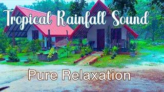 Tropical Rainforest Rain Sounds | Sigiriya Nature Meditation 4K