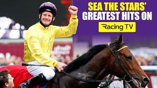 Sea The Stars - A true racing superstar