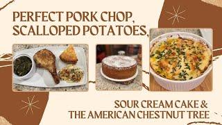 Perfect Pork Chop, Scalloped Potatoes, Sour Cream Cake and The American Chestnut Tree (#1234)