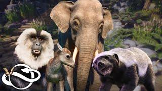 Planet Zoo Asia Animal Pack Reveal!