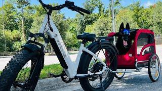 Dog Goes Biking With TST Dreamer E-Bike #dog #TSTebike #TSTDreameradultebike #TSTfattireebike