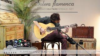 We present you the first guitar built at Solera Artisans School, played by Juan Campos
