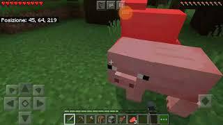 faccio una nuova vacilla su minecraft ITA