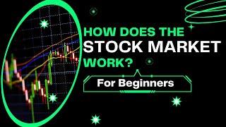 Investing Guide for Beginners: How Does the Stock Market Work? (Stocks, Dividend Portfolio & IPOs)