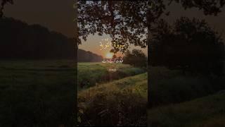 Surah At-Tawbah Recitation That Strikes the Heart | A Call to Repentance & Courage #Quran #Surahtoba