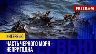 В Черном море появилась МЕРТВАЯ зона: уничтожена ВСЯ живность