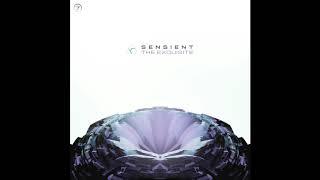 Sensient - The Exquisite