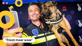 Politiehond Bumper verdwijnt van sociale media