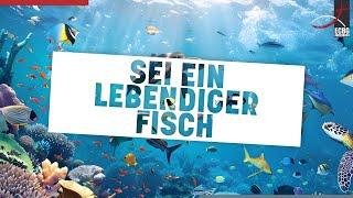 Einschulung-Gottesdienst zum Thema " Sei ein lebendiger Fisch" am 25.08.2024